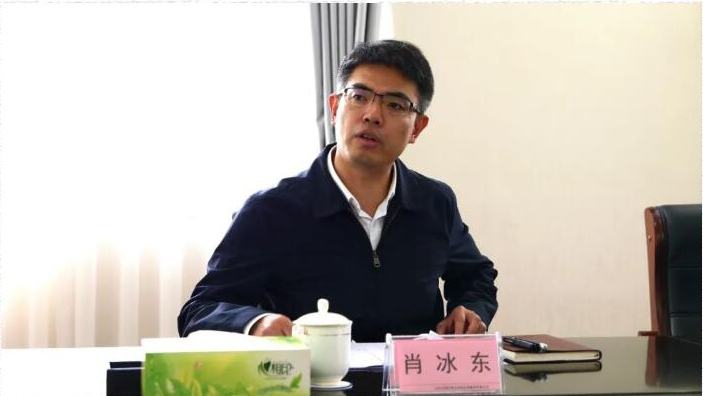 肖冰东常务副市长调研国产自拍
公司